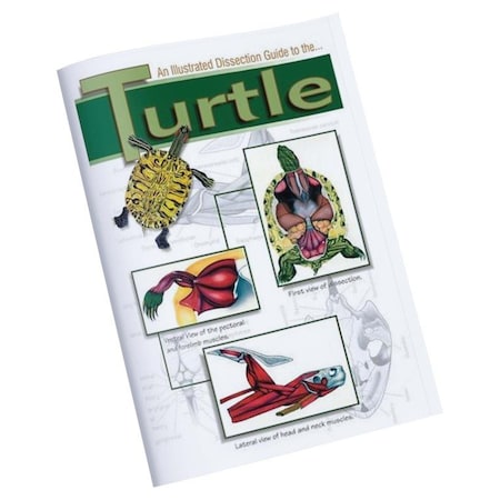 Oasis Illustrated Dissection Guide to the Turtle 420-4114-1
